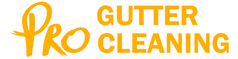 Pro Gutter Cleaning Melbourne | Professional Gutter Cleaners