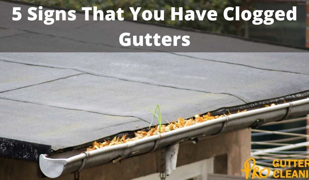 5 Signs That You Have Clogged Gutters