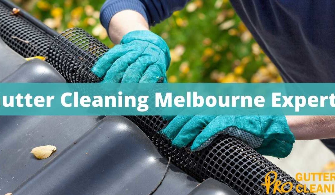 Gutter Cleaning Melbourne Experts