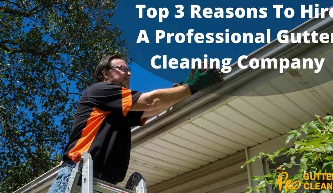 Top 3 Reasons To Hire A Professional Gutter Cleaning Company