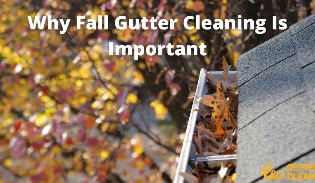 Why Fall Gutter Cleaning Is Important