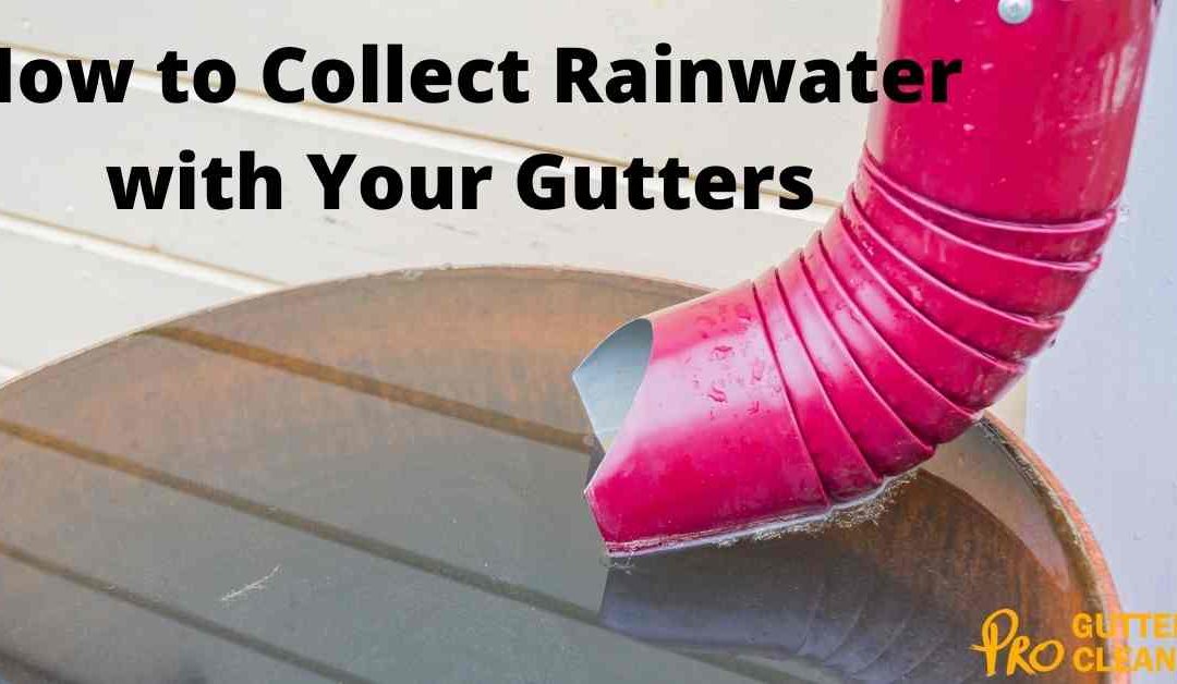 How to Collect Rainwater with Your Gutters