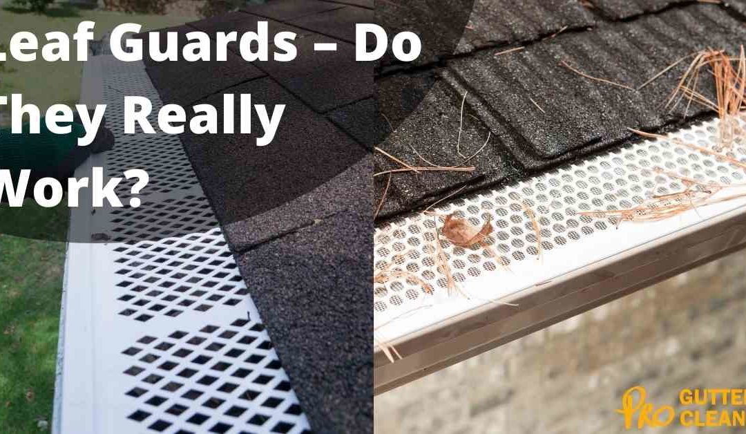 Leaf Guards – Do They Really Work