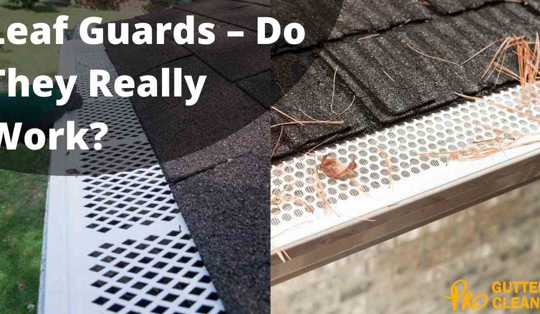 Leaf Guards – Do They Really Work?