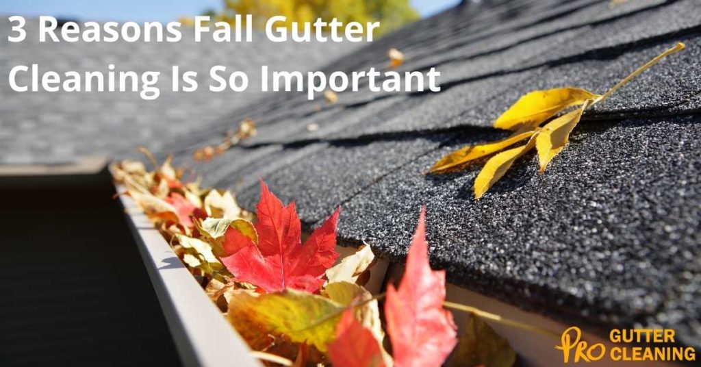 3 Reasons Fall Gutter Cleaning Is So Important