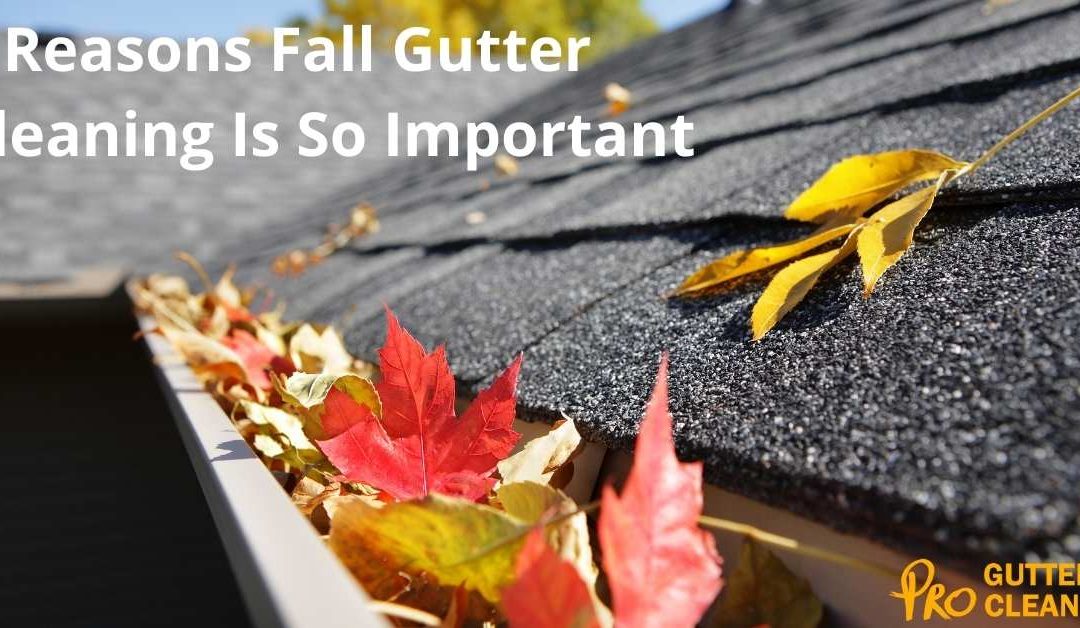 3 Reasons Fall Gutter Cleaning Is So Important
