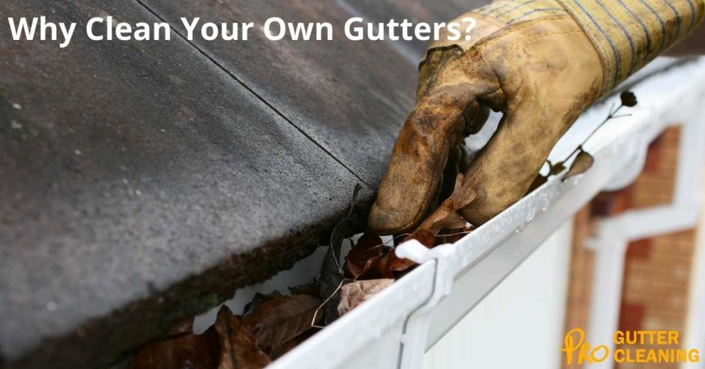 Why Clean Your Own Gutters