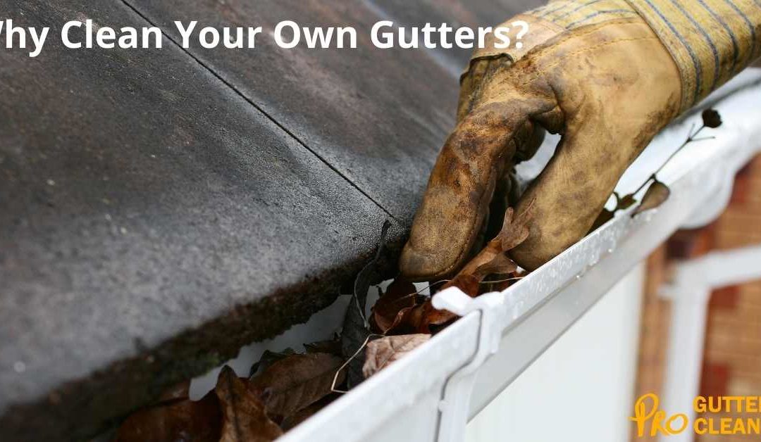 Why Clean Your Own Gutters?