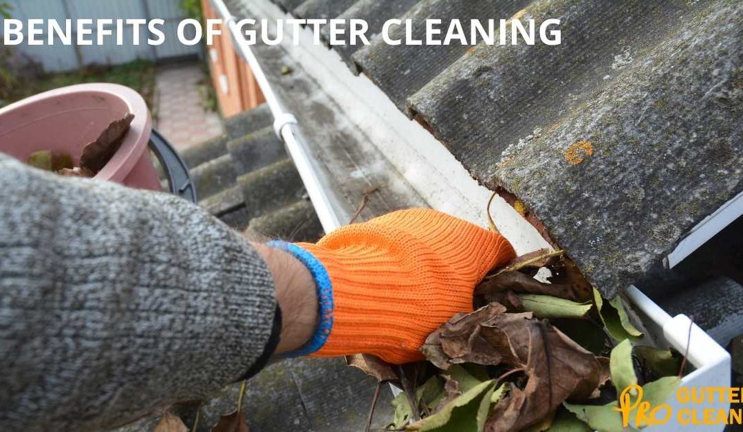 7 BENEFITS OF GUTTER CLEANING