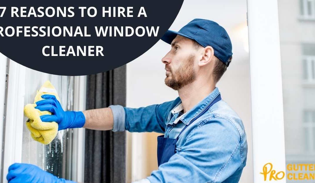 7 REASONS TO HIRE A PROFESSIONAL WINDOW CLEANER