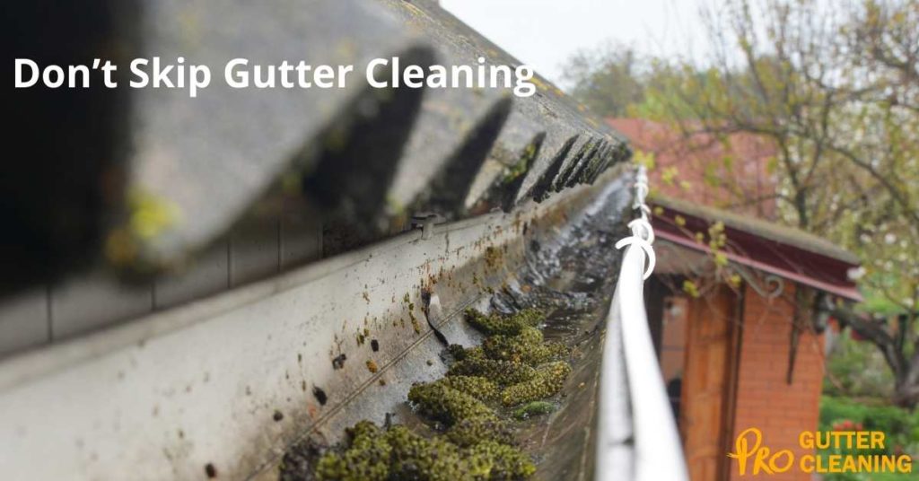 Don’t Skip Gutter Cleaning