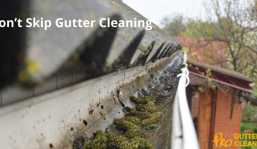 Don’t Skip Gutter Cleaning