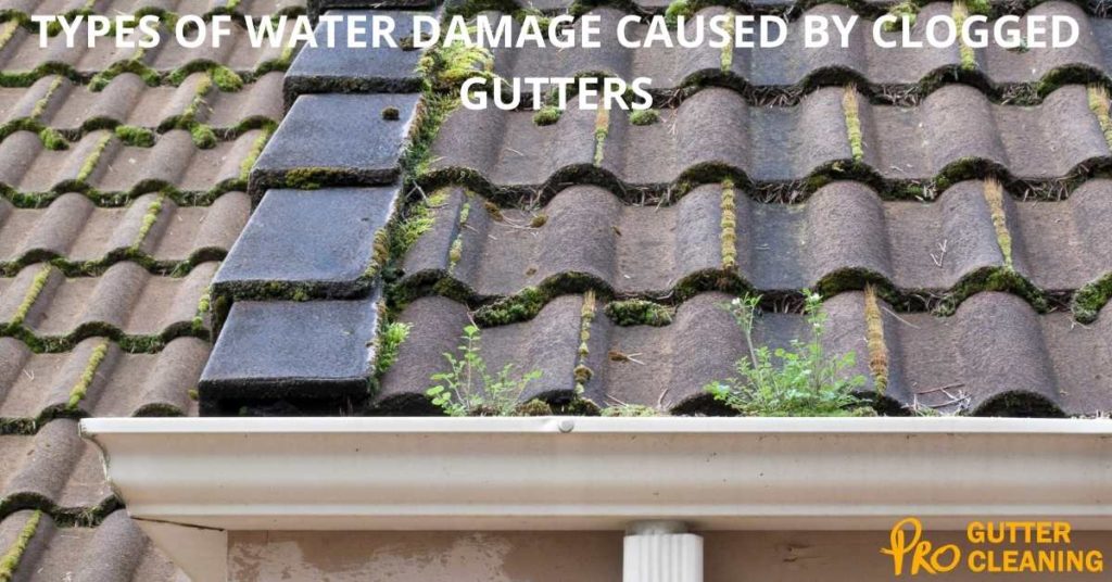 TYPES OF WATER DAMAGE CAUSED BY CLOGGED GUTTERS