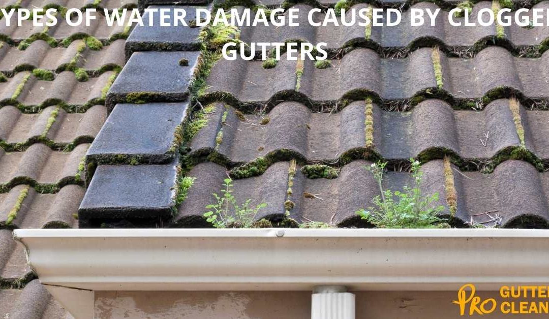 TYPES OF WATER DAMAGE CAUSED BY CLOGGED GUTTERS