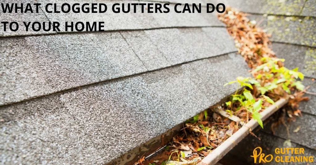 WHAT CLOGGED GUTTERS CAN DO TO YOUR HOME