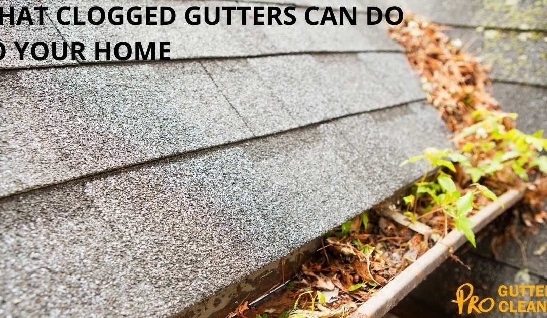 WHAT CLOGGED GUTTERS CAN DO TO YOUR HOME