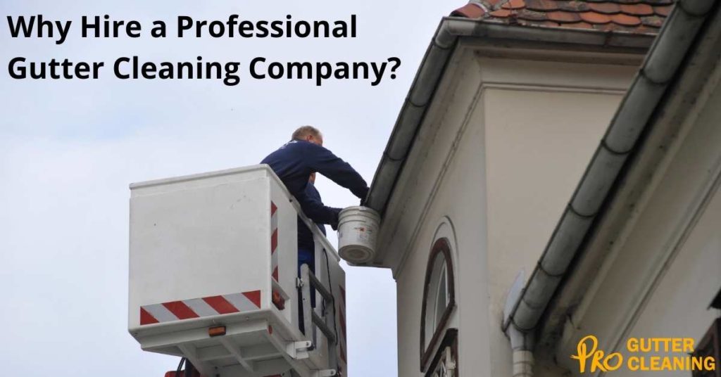 Why Hire a Professional Gutter Cleaning Company