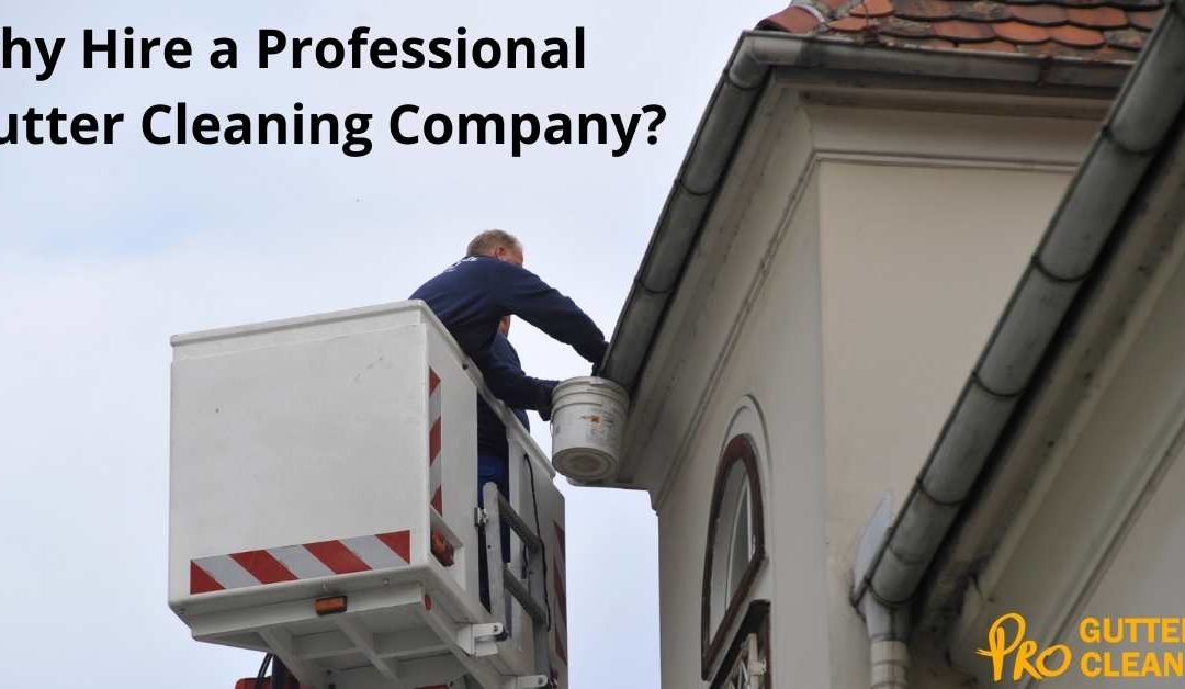 Why Hire a Professional Gutter Cleaning Company?