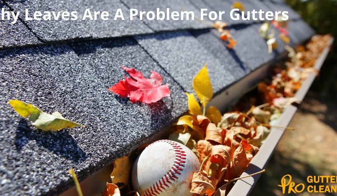 Why Leaves Are A Problem For Gutters