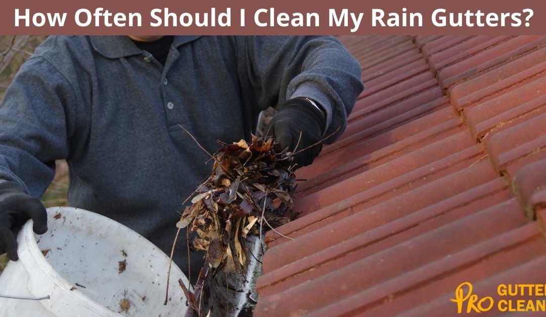 How Often Should I Clean My Rain Gutters?