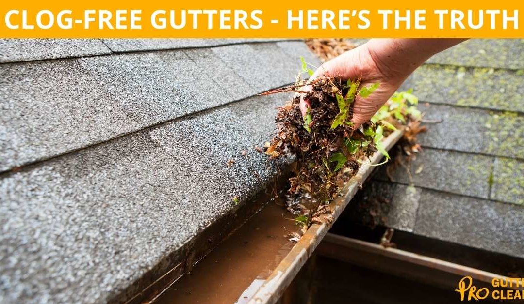 CLOG-FREE GUTTERS? HERE’S THE TRUTH!