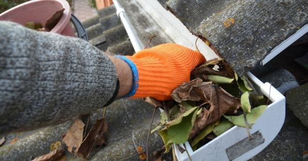 Roof Gutter Cleaning
